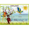 diploma cu fluturi si mar inflorit - dpa24